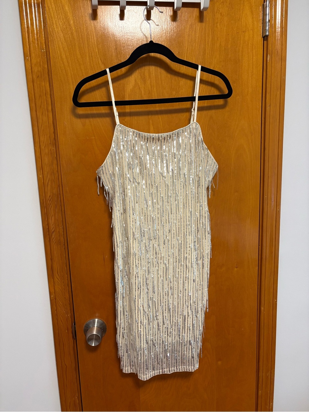 Blue Rain Ivory Beaded Fringe Mini Dress